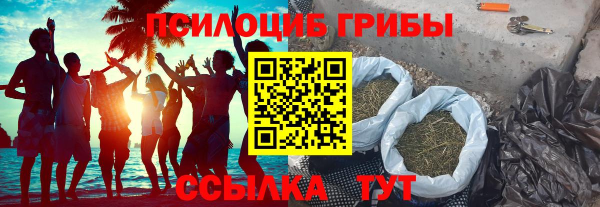 Галлюциногенные грибы ЛСД  Псилоцибиновые грибы MAGIC MUSHROOMS  купить наркоту  Ессентуки  Вход с VPN 